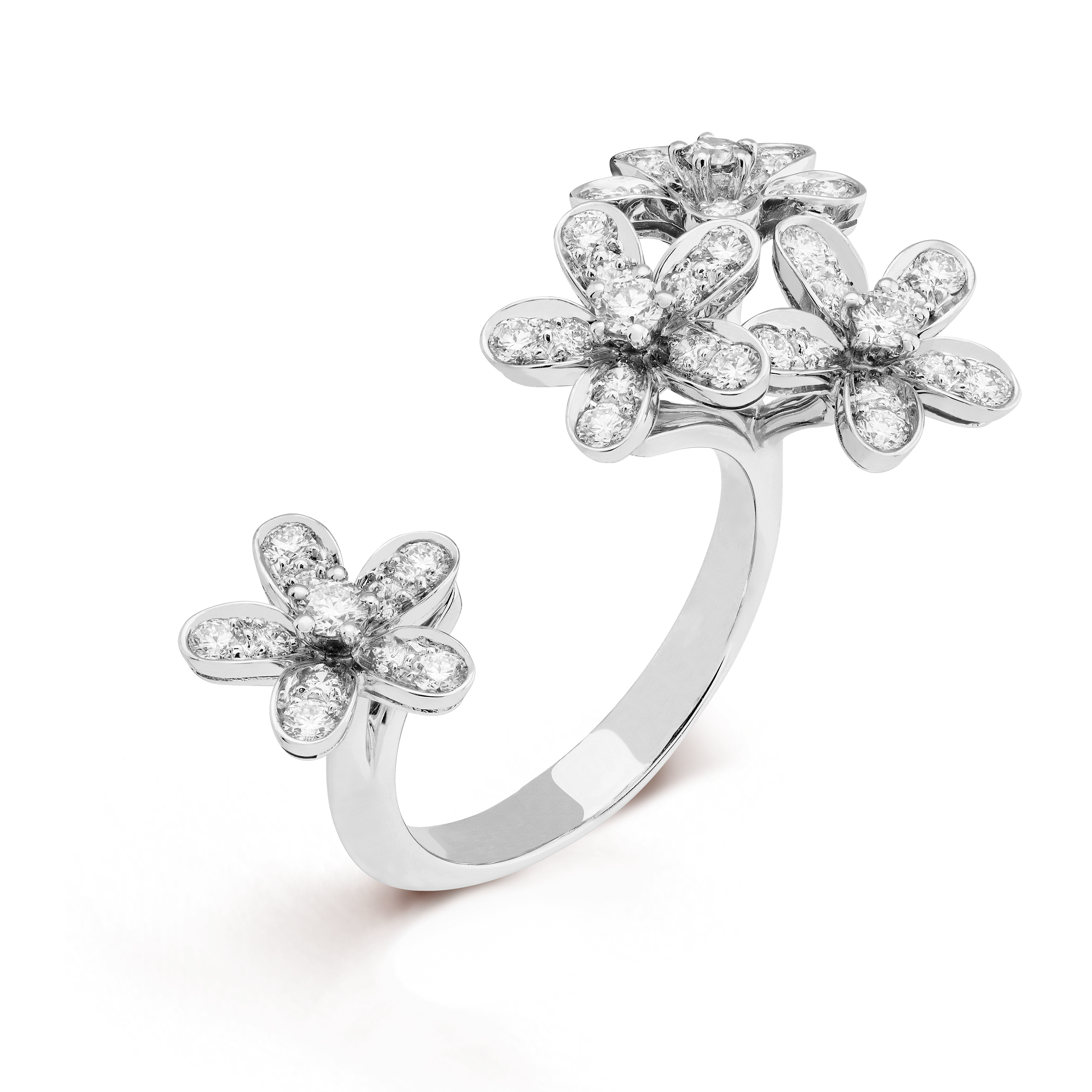 Bague Entre les Doigts Socrate