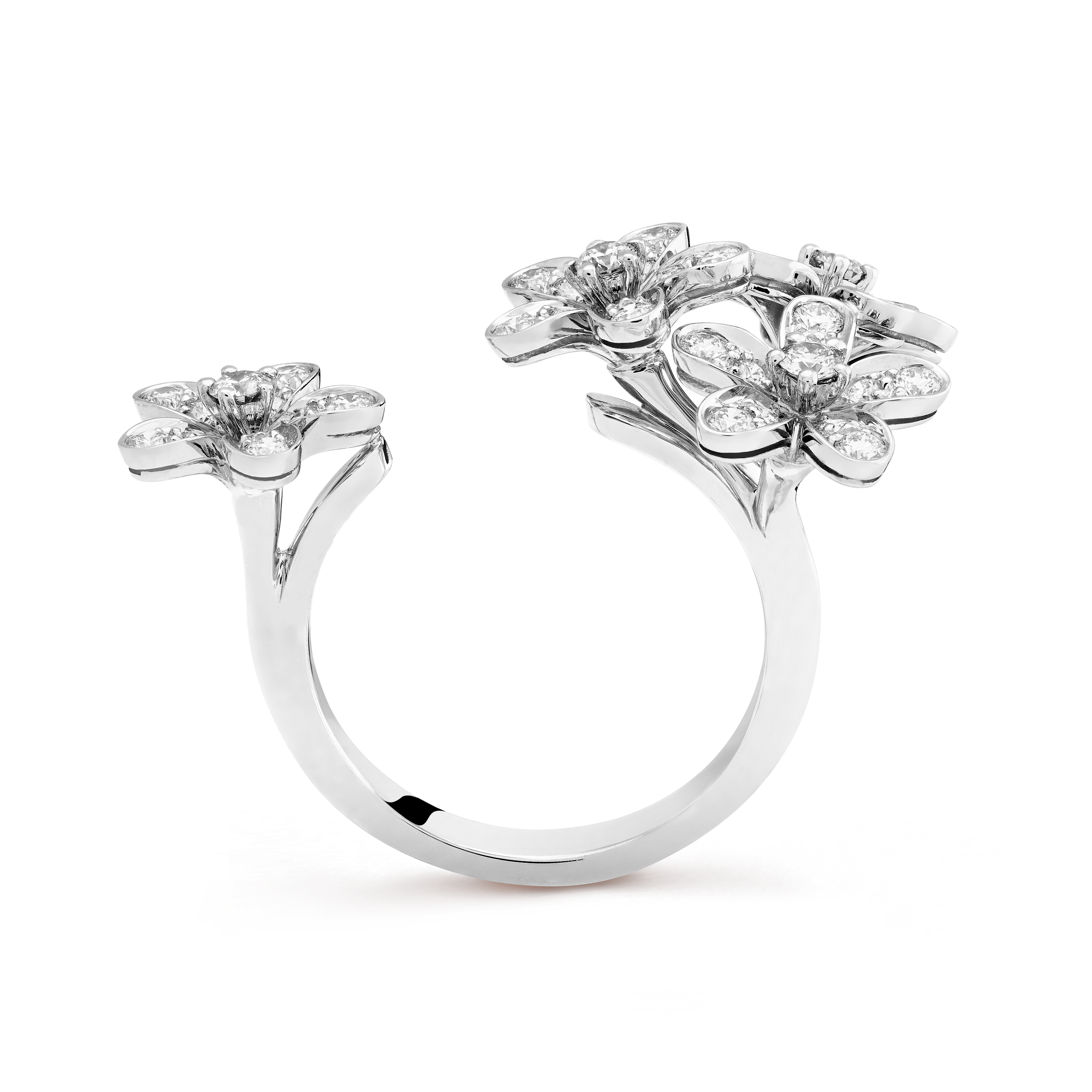 Bague Entre les Doigts Socrate