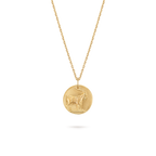 Médaille Zodiaque Capricorni (Capricorne)