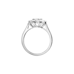 L'Heure du Diamant