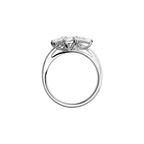L'Heure du Diamant