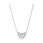 Precious Lace Nuage