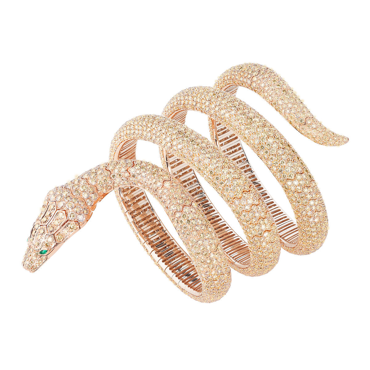 Bracelet python