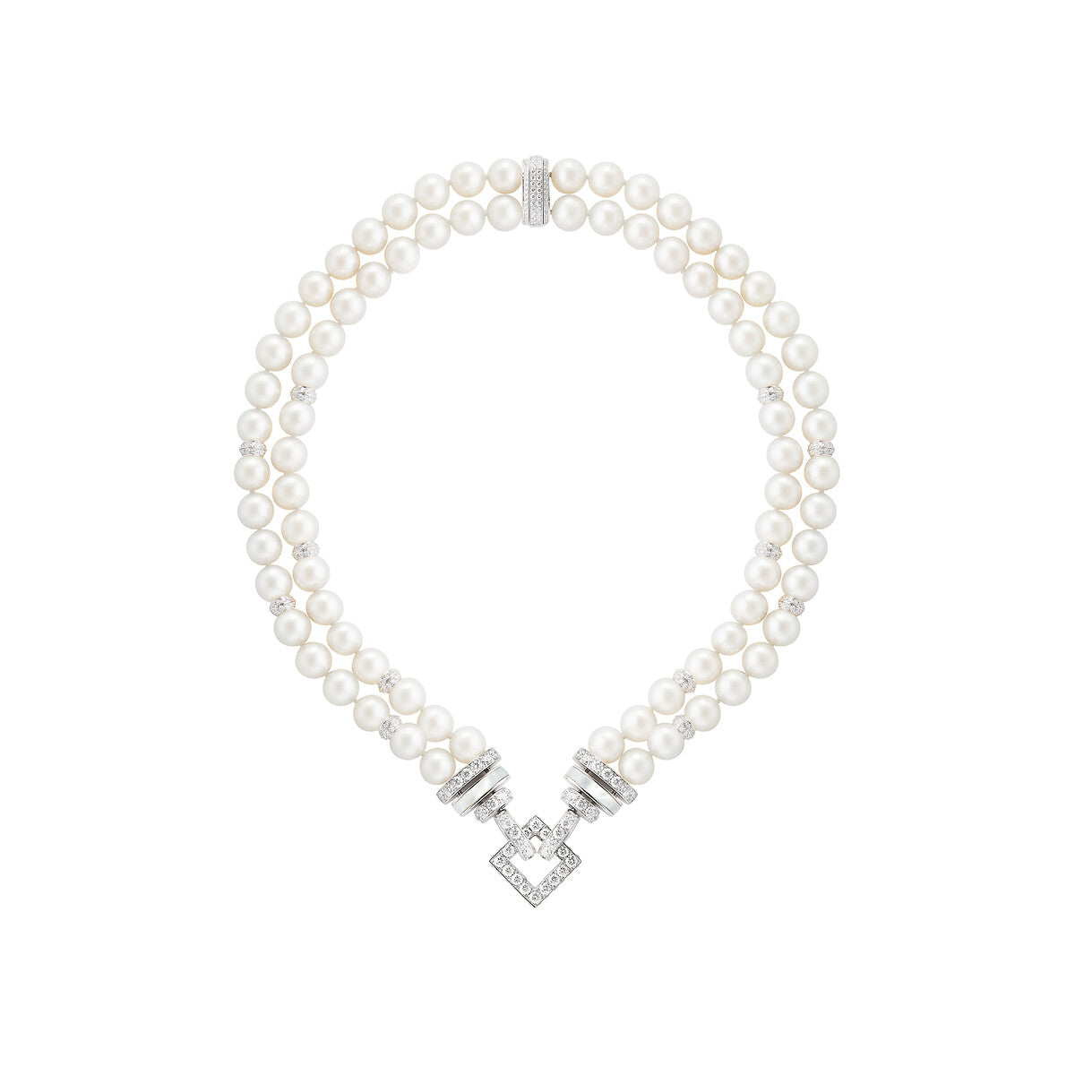 Collier wladimir, le chat