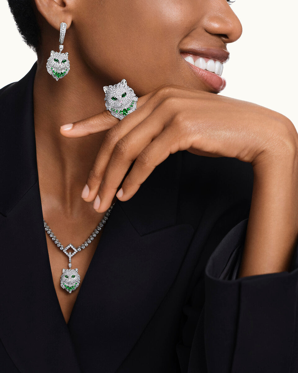 Collier wladimir, le chat