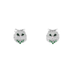 Puces d'oreilles wladimir, le chat