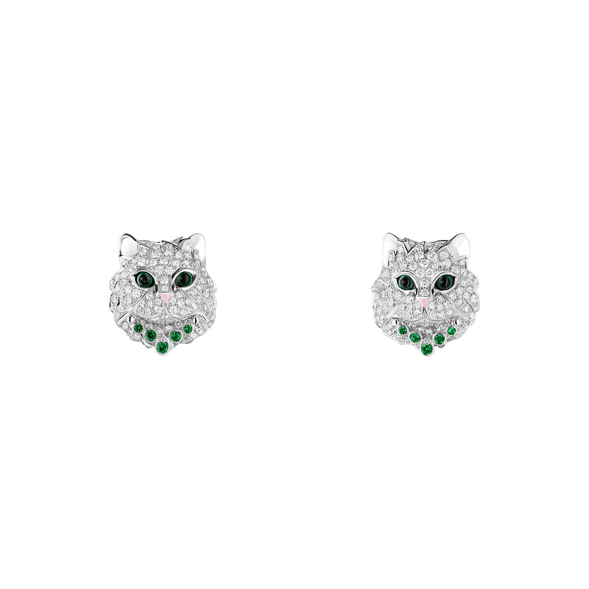 Puces d'oreilles wladimir, le chat