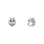 Puces d'oreilles wladimir, le chat