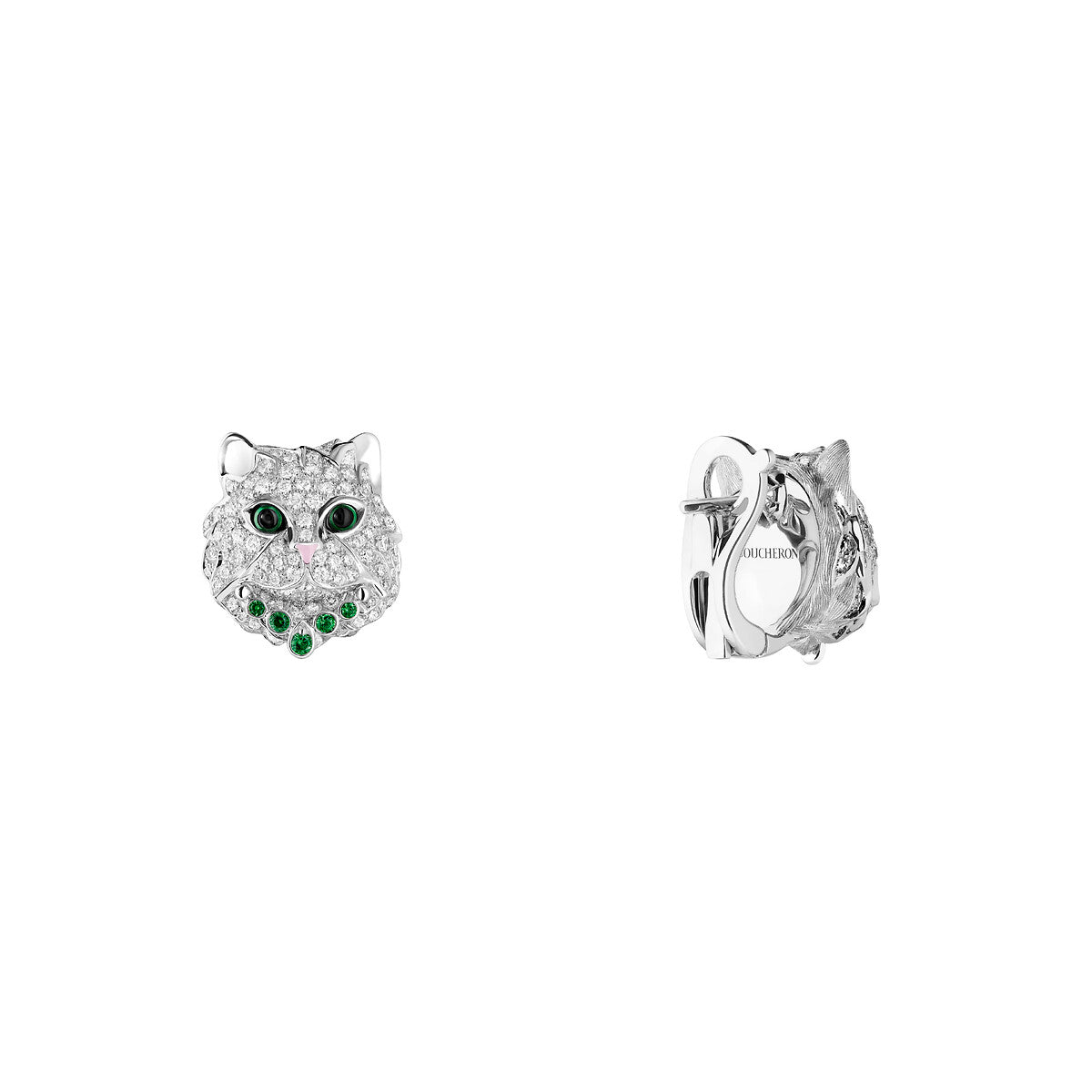 Puces d'oreilles wladimir, le chat