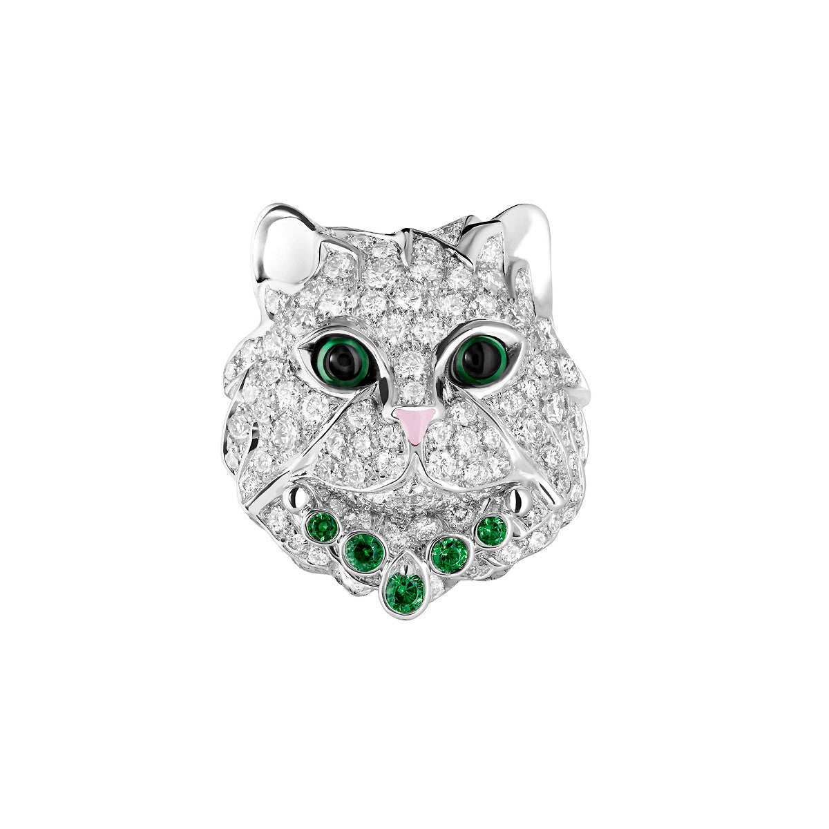 Puces d'oreilles wladimir, le chat
