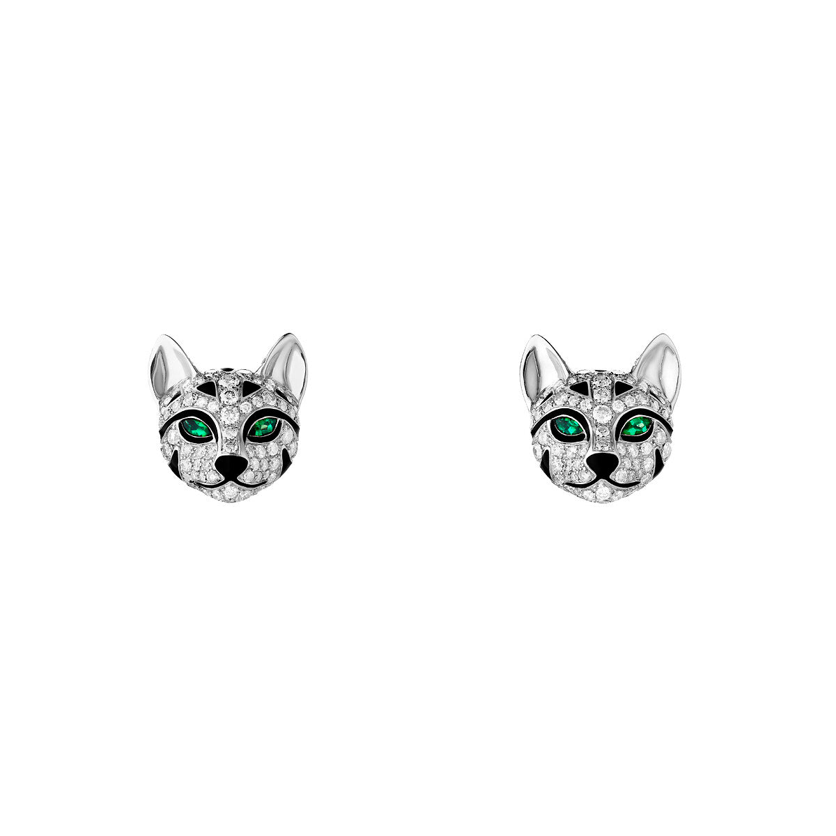 Puces d'oreille fuzzy le chat léopard