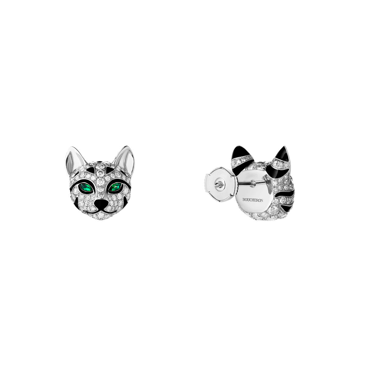 Puces d'oreille fuzzy le chat léopard