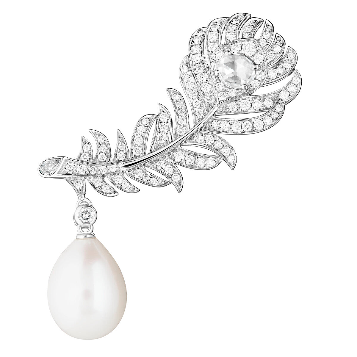 Boucles d'oreilles plume de paon