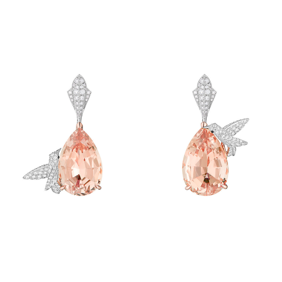 Dormeuses hopi, le colibri