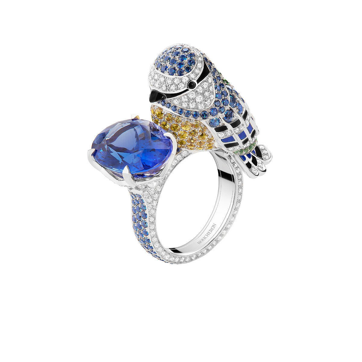 Bague meisa, la mésange