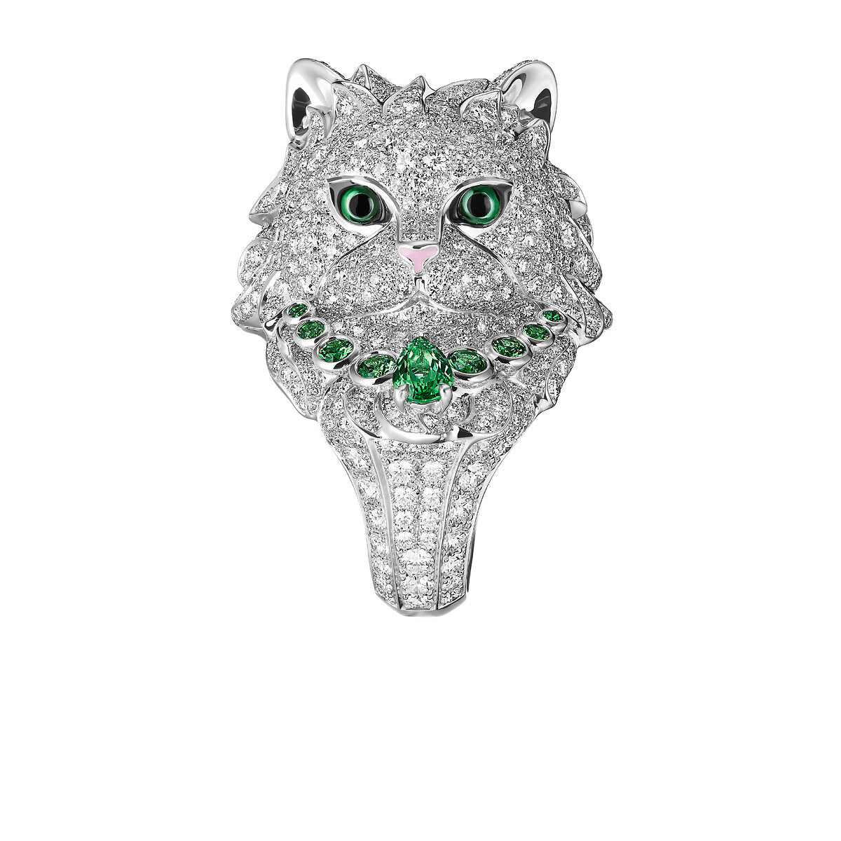 Bague wladimir, le chat