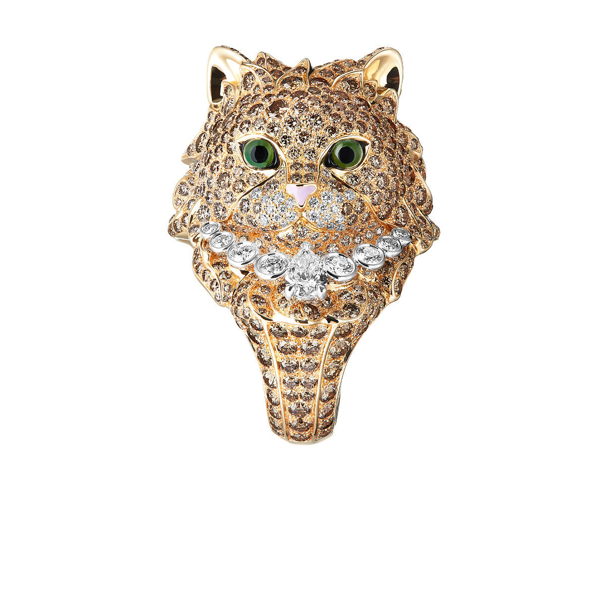 Bague wladimir, le chat