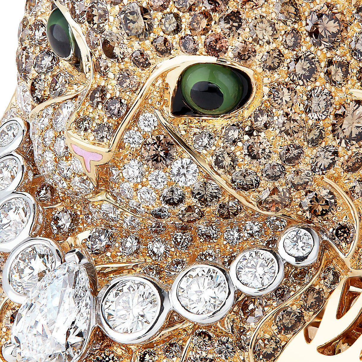 Bague wladimir, le chat