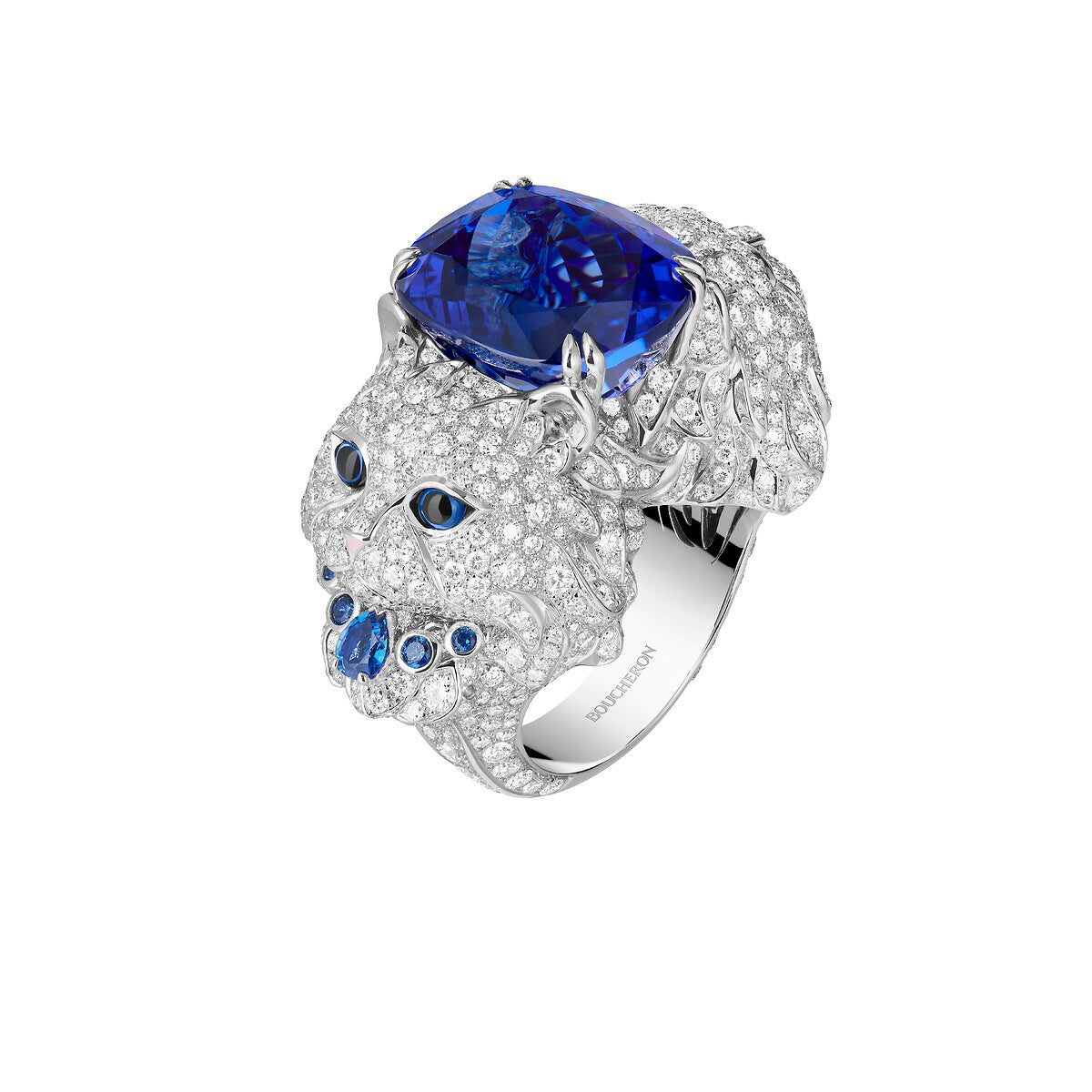 Bague wladimir, le chat