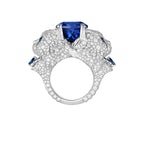 Bague wladimir, le chat
