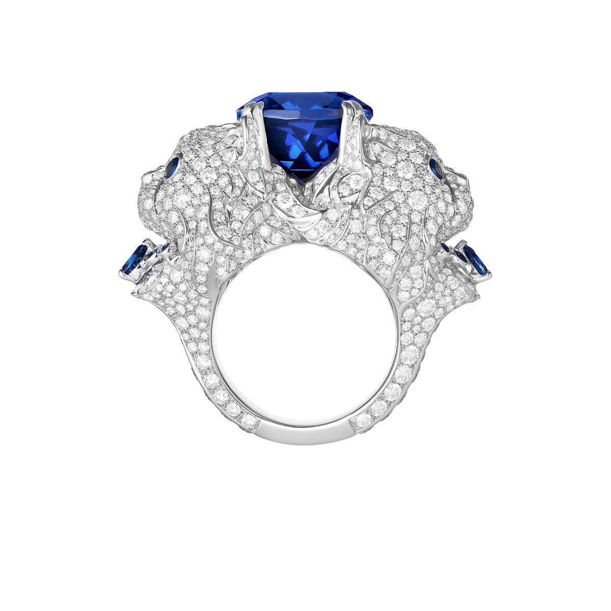 Bague wladimir, le chat
