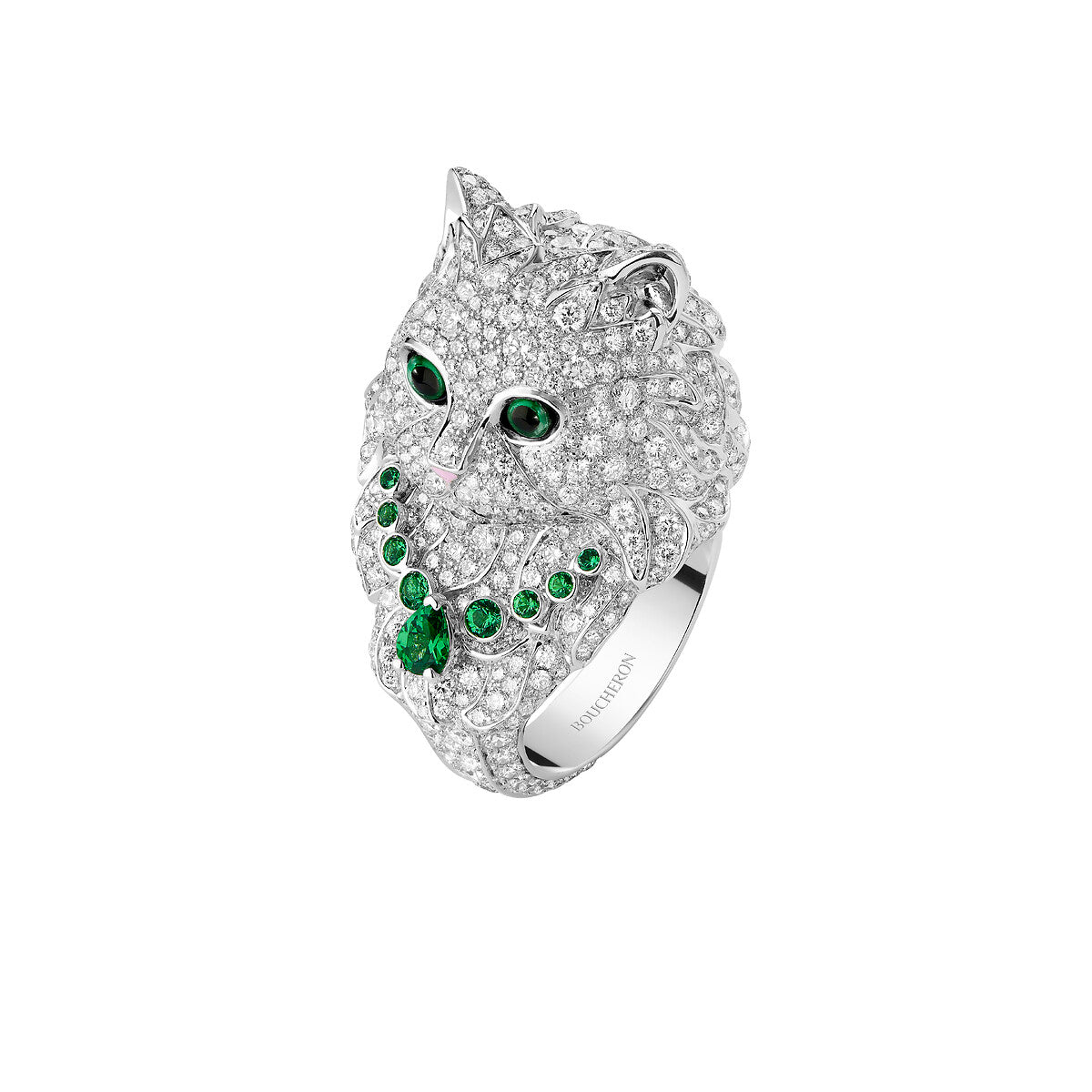 Bague wladimir, le chat