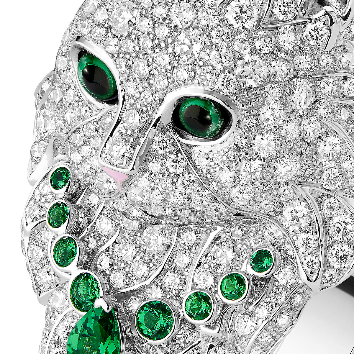 Bague wladimir, le chat