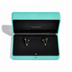 Boucles d’oreilles en titane, or et diamants, Large