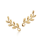 Boucles d’oreilles montantes Olive Leaf