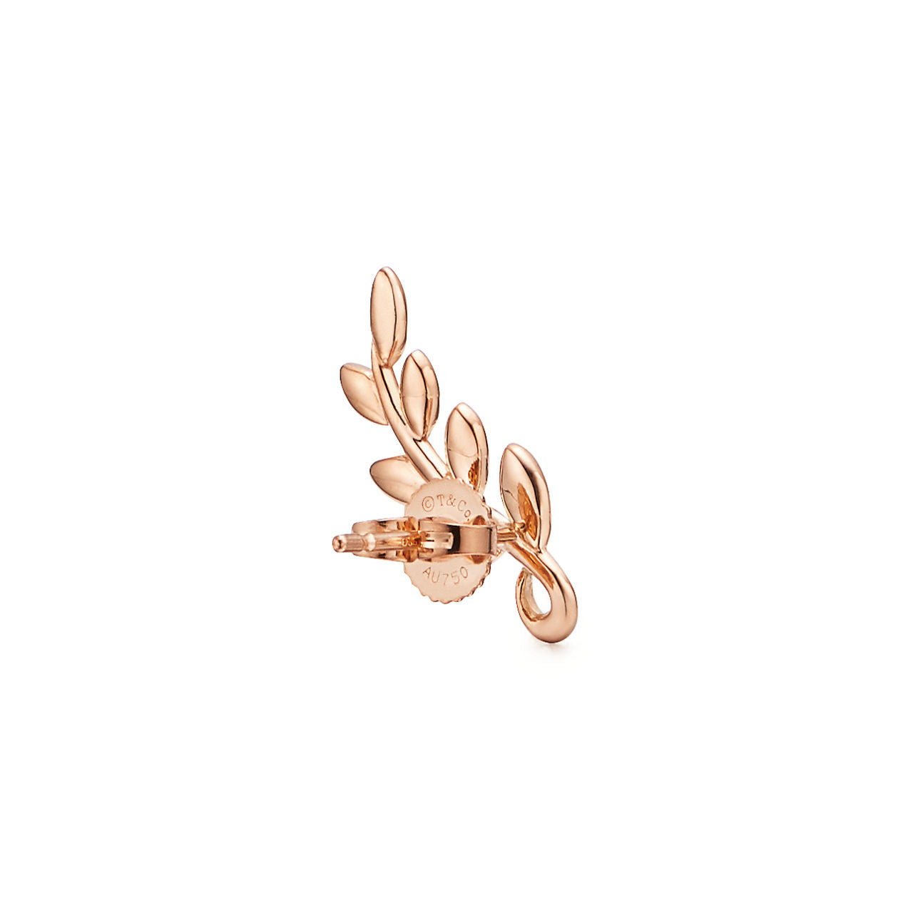 Boucles d’oreilles montantes Olive Leaf