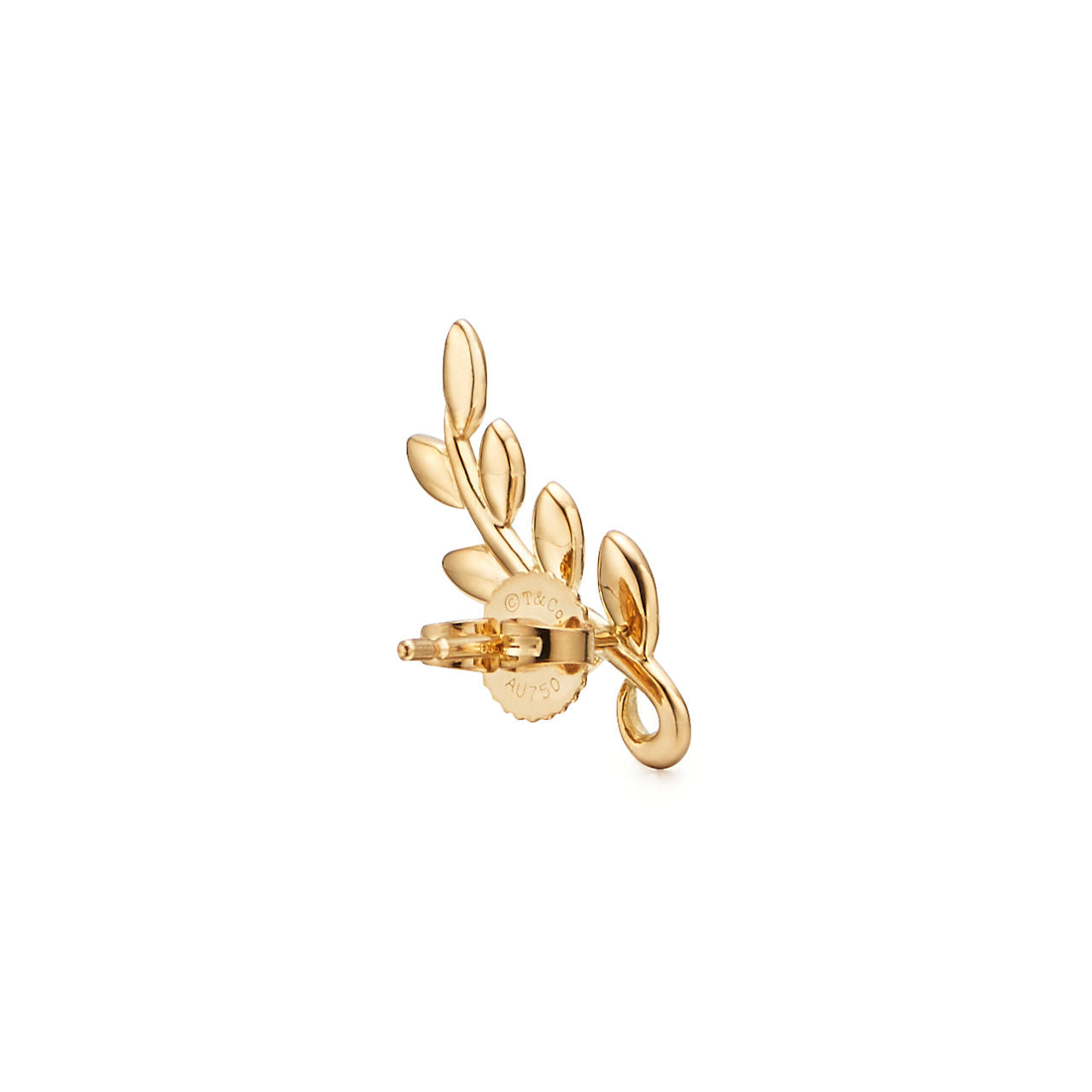 Boucles d’oreilles montantes Olive Leaf