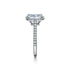Tiffany Soleste Bague de fiançailles halo taille émeraude avec anneau en platine 950 millièmes et diamants