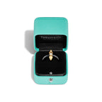 Tiffany Titan by Pharrell Williams Bague en titane, or 18 carats et diamant