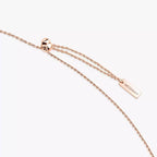 Collier Move 10th PM